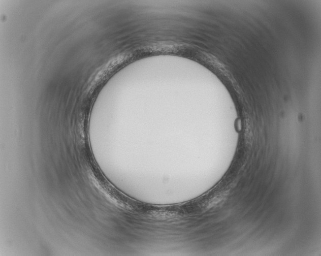 X0000052580633200507292033