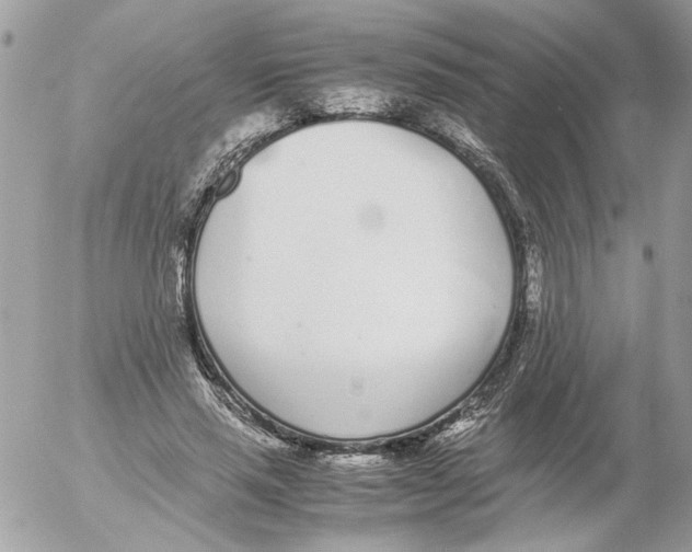 X0000052580637200507292033