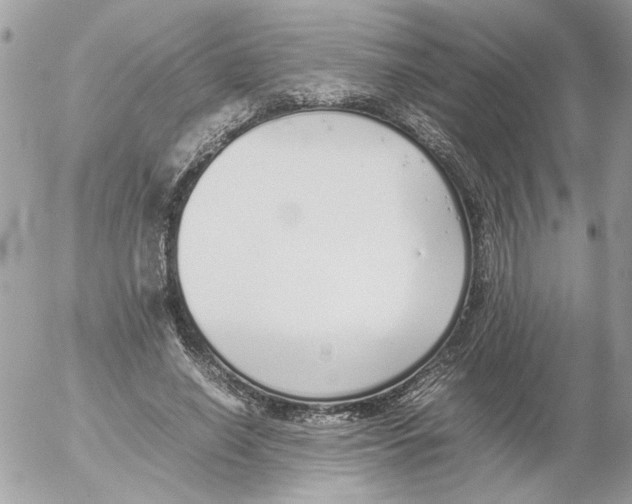 X0000052580638200507292033