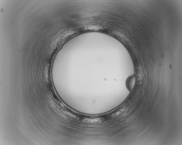 X0000052580639200507292033