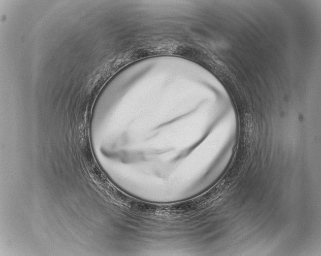 X0000052580641200507292033