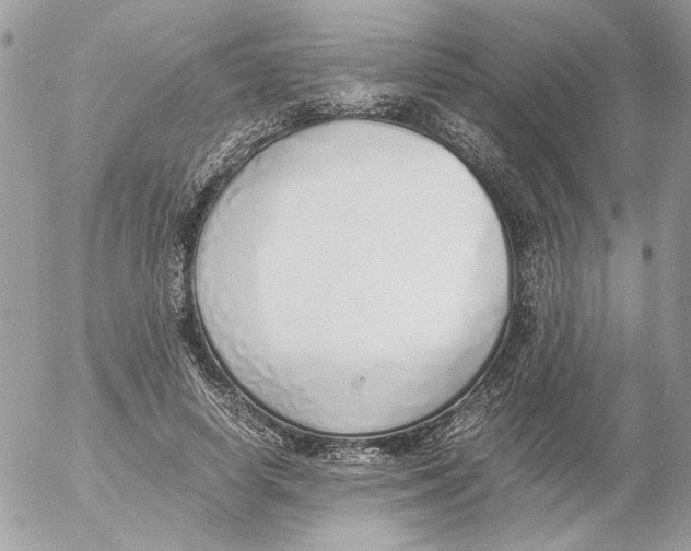 X0000052580642200507292033