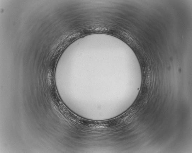 X0000052580643200507292033