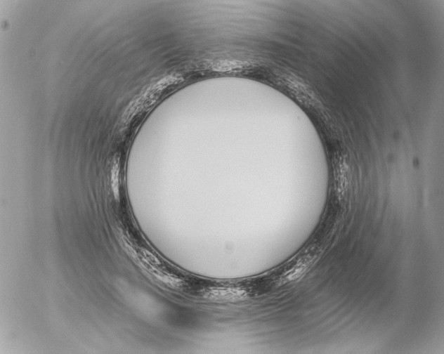 X0000052580644200507292033