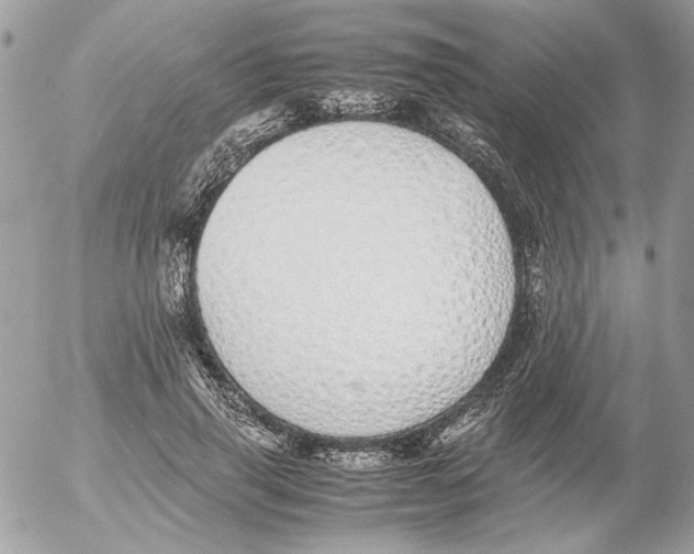 X0000052580645200507292033