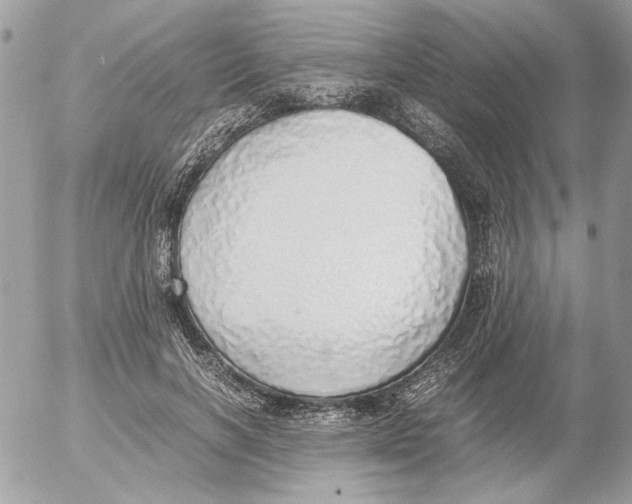 X0000052580646200507292033