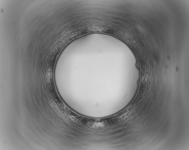 X0000052580647200507292033