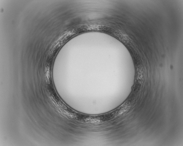 X0000052580648200507292033