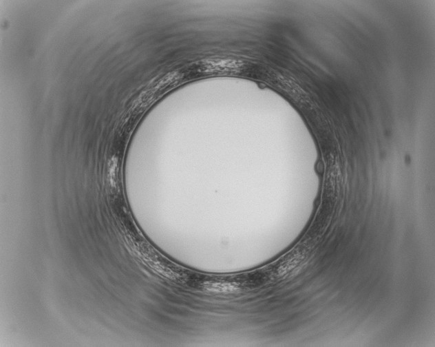 X0000052580649200507292033