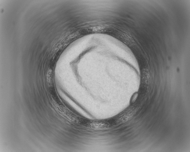 X0000052580650200507292033