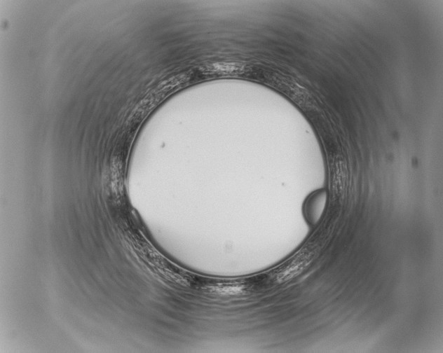 X0000052580651200507292033