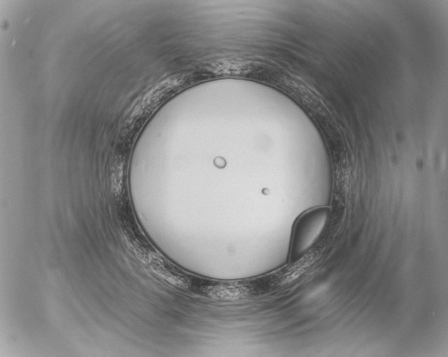 X0000052580652200507292033