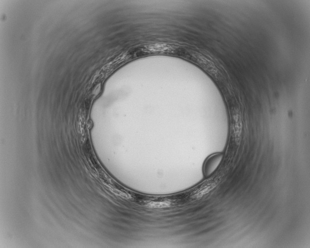 X0000052580653200507292033