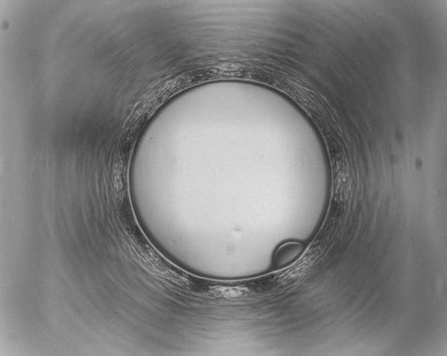 X0000052580654200507292033