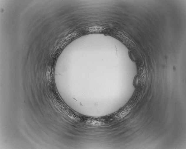 X0000052580655200507292033