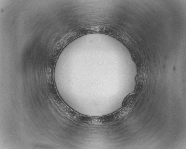 X0000052580656200507292033