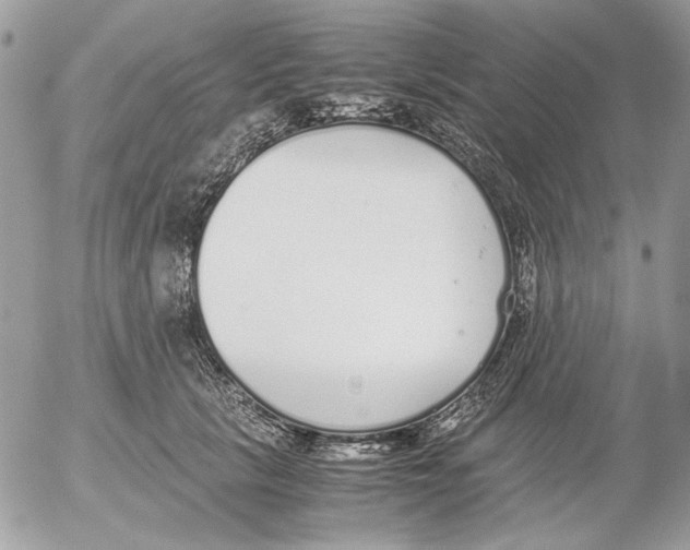 X0000052580657200507292033