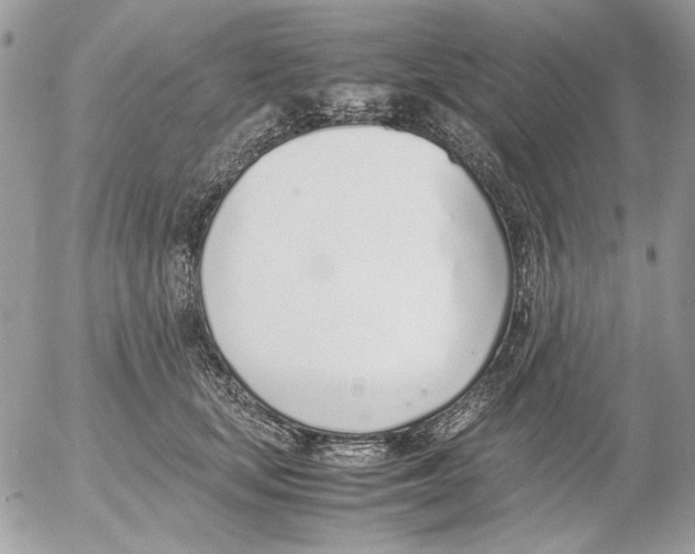 X0000052580659200507292033