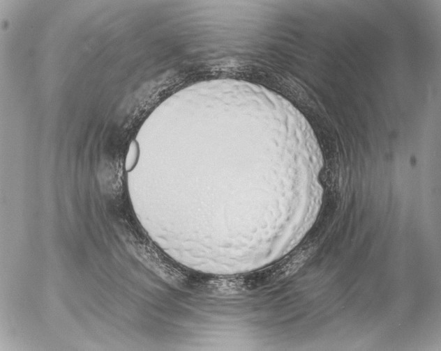 X0000052580660200507292033