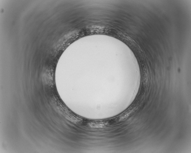 X0000052580661200507292033