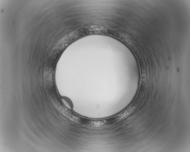 X0000052580662200507292033