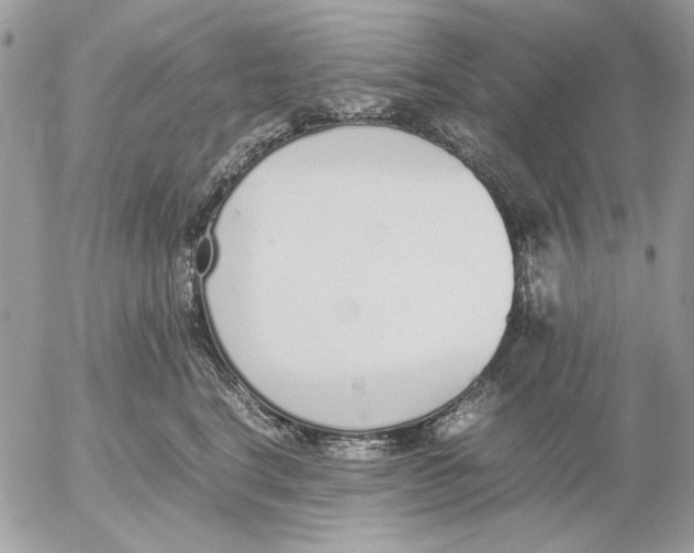 X0000052580664200507292033