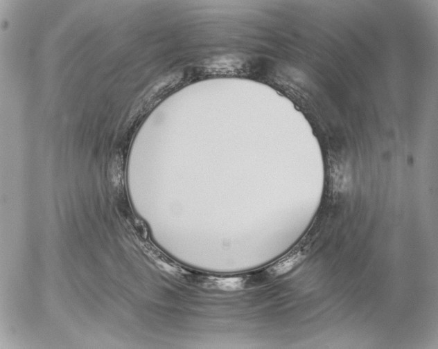 X0000052580665200507292033