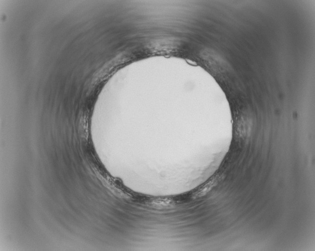 X0000052580666200507292033