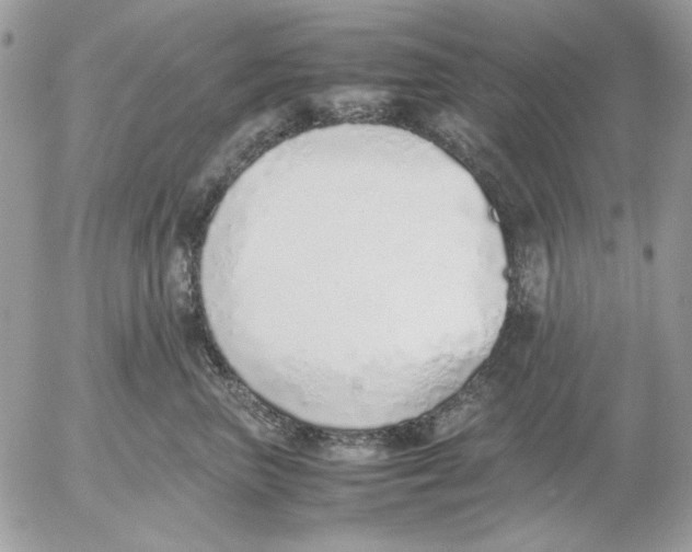 X0000052580667200507292033