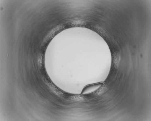 X0000052580668200507292033