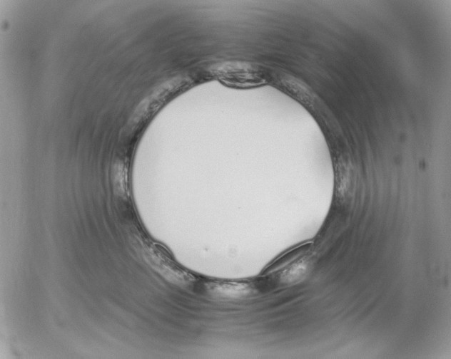 X0000052580669200507292033