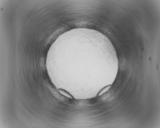 X0000052580670200507292033