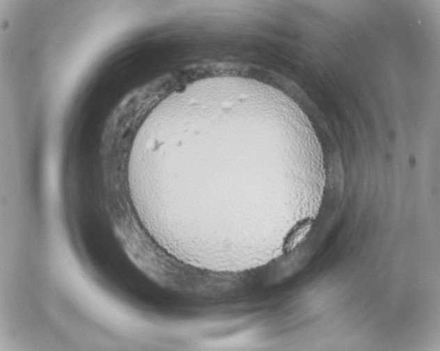 X0000052580671200507292033