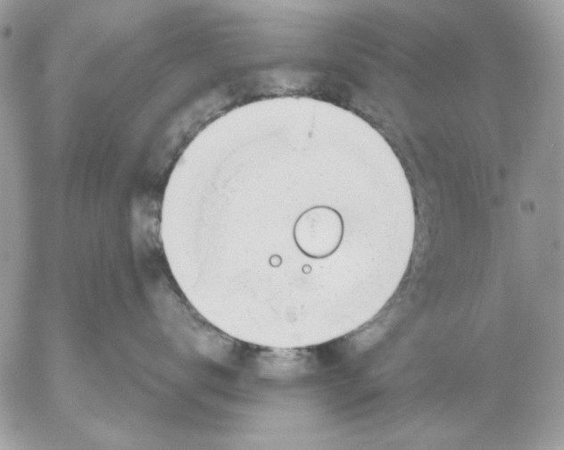 X0000052580672200507292033