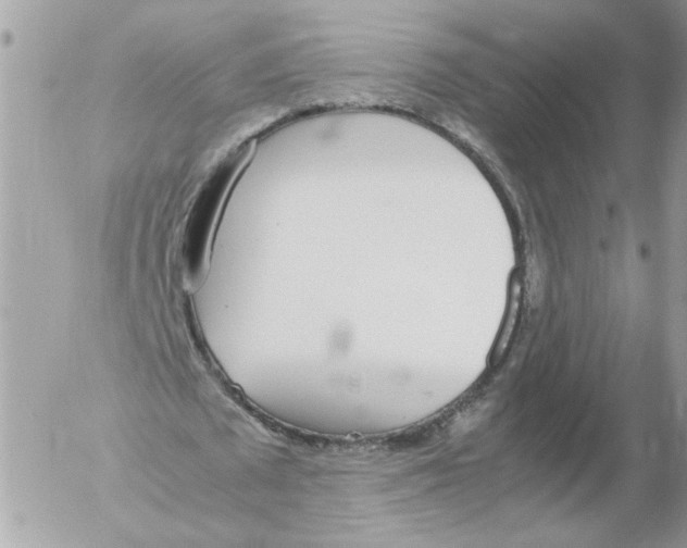 X0000052580673200507292033