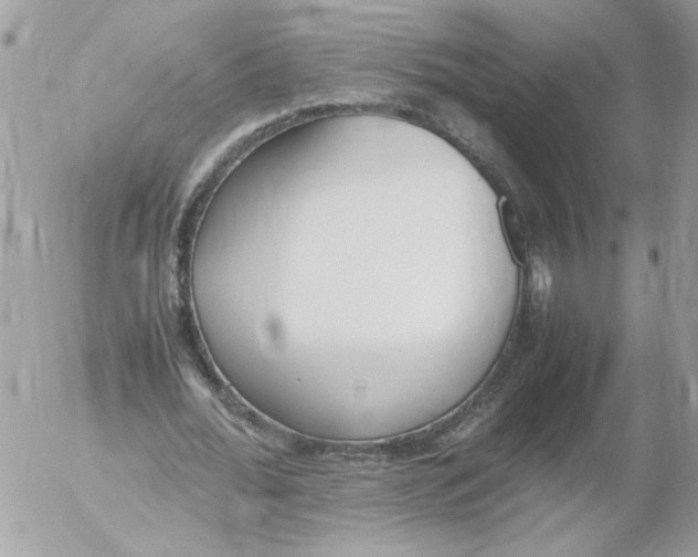 X0000052580676200507292033