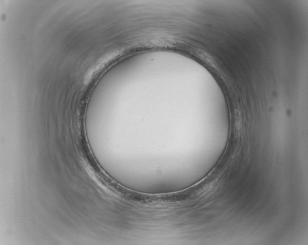 X0000052580677200507292033