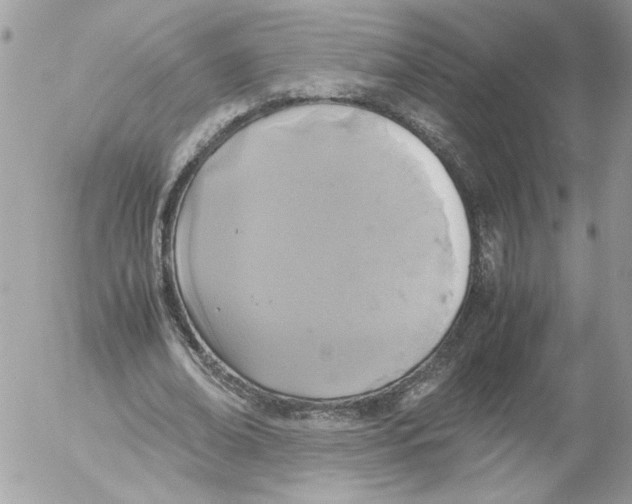 X0000052580678200507292033