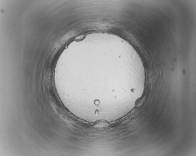 X0000052580679200507292033