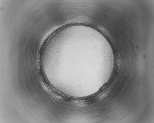 X0000052580680200507292032