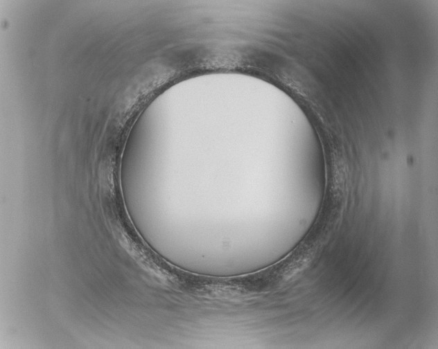 X0000052580681200507292032