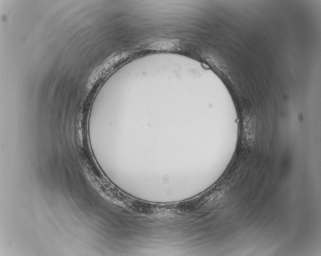 X0000052580682200507292032