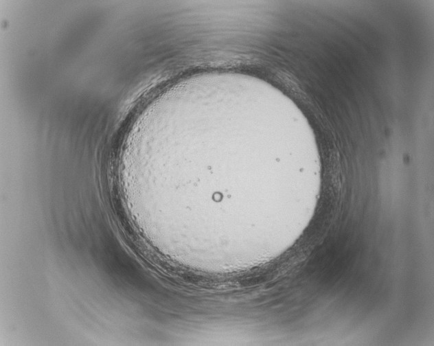 X0000052580683200507292032