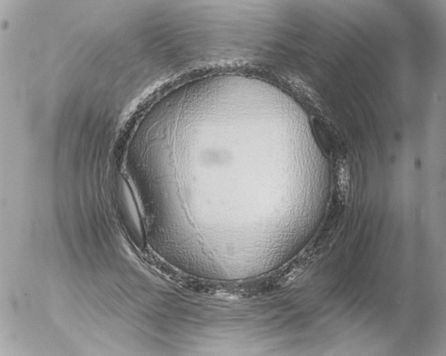 X0000052580684200507292032