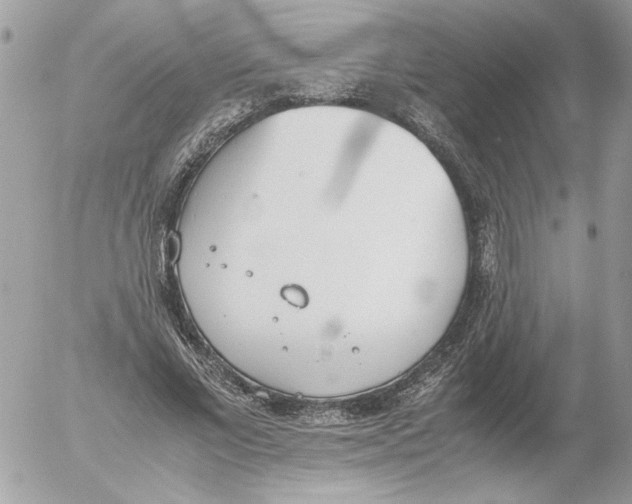 X0000052580685200507292032