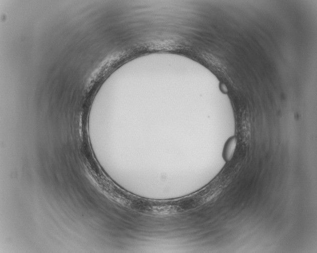 X0000052580686200507292032