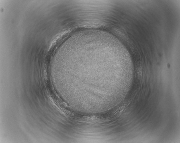 X0000052580688200507292032