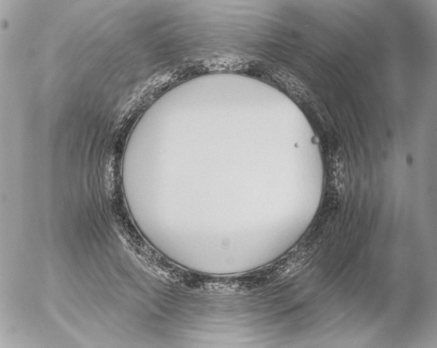 X0000052580690200507292032