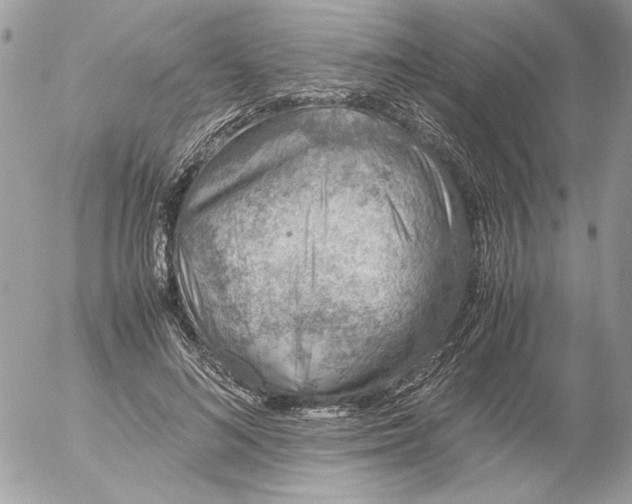 X0000052580692200507292032