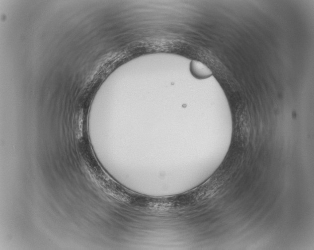 X0000052580694200507292032